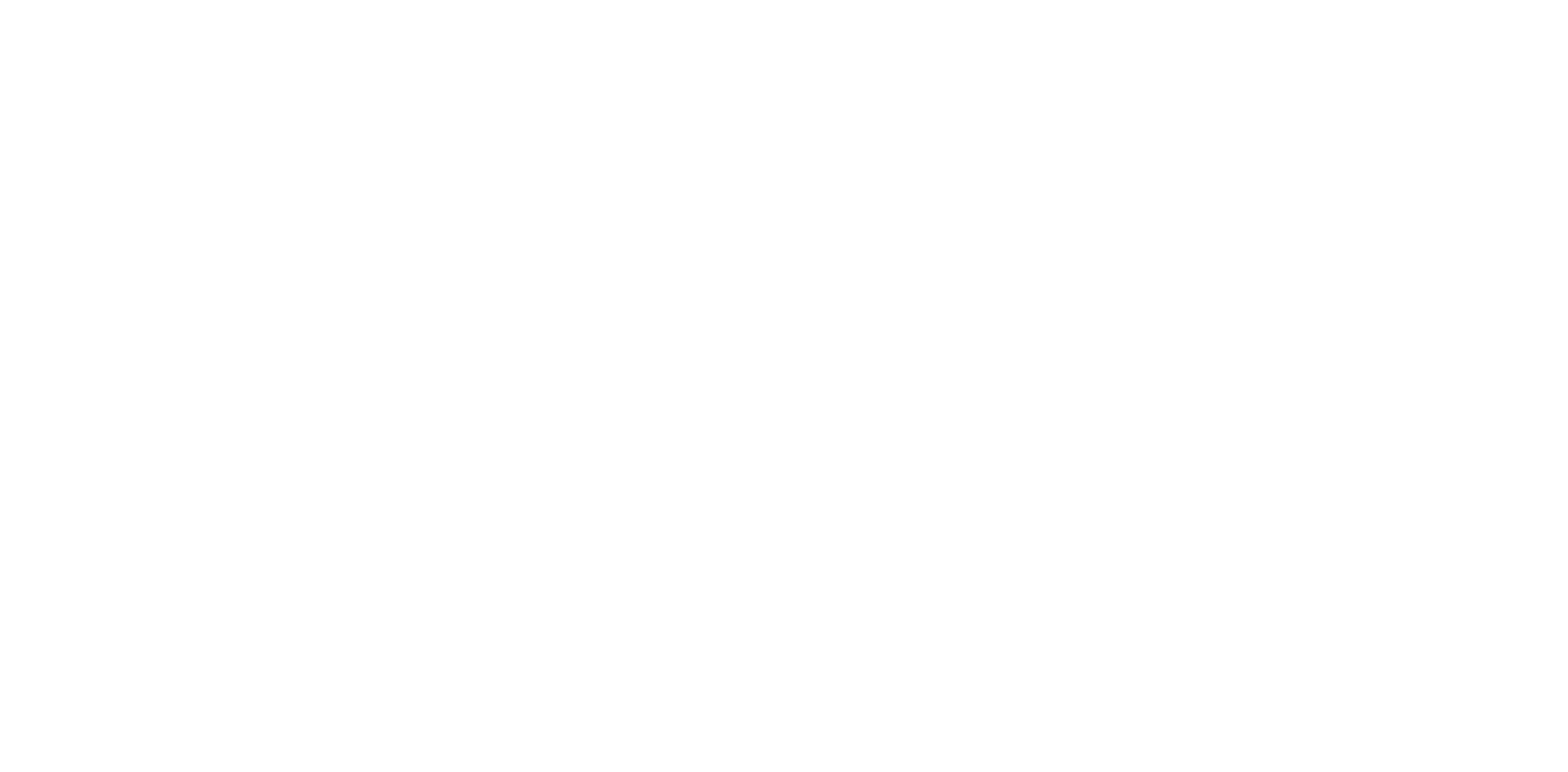 ROTO ROOTER